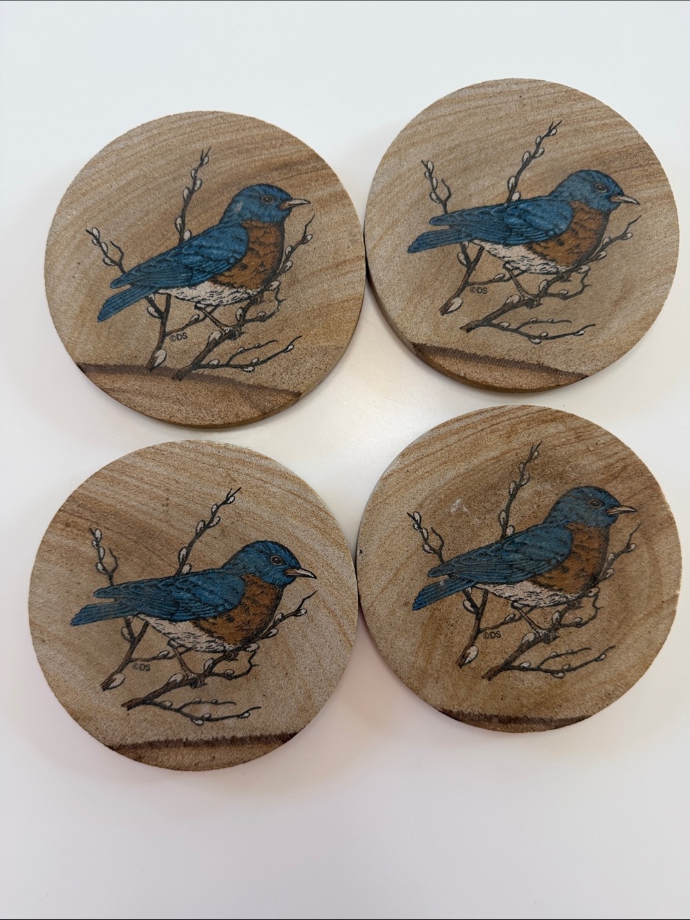 Ceramic drink Coasters with Blue and Brown Bird Illustration